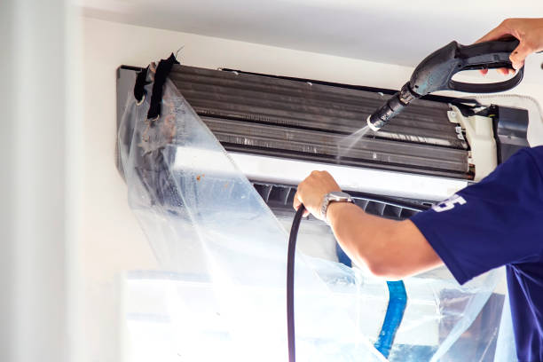 Air Duct Mold Removal in Gardere, LA